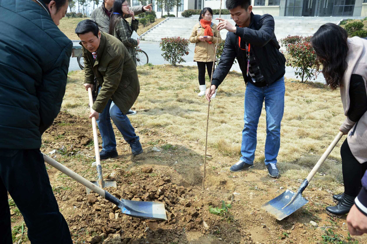 全校师生、教职工参与植树活动